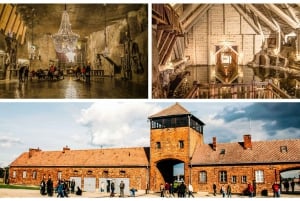 Krakow: Auschwitz & Wieliczka Salt Mine Guided Day Tour