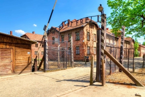 Krakow: Auschwitz Guided Tour with Optional Lunch and Pickup