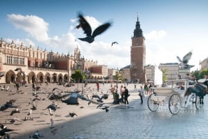 Desde Katowice: Excursión guiada privada de un día al casco antiguo de Cracovia