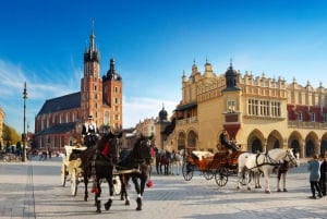 Fra Katowice: Krakow gamleby privat guidet dagstur