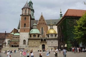 Z Katowic: Prywatna jednodniowa wycieczka z przewodnikiem po Starym Mieście w Krakowie