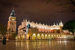 Z Katowic: Prywatna jednodniowa wycieczka z przewodnikiem po Starym Mieście w Krakowie