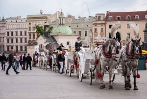 Au départ de Katowice : excursion d'une journée avec guide privé dans la vieille ville de Cracovie