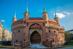 Från Katowice: Privat guidad dagsutflykt till Krakows gamla stad