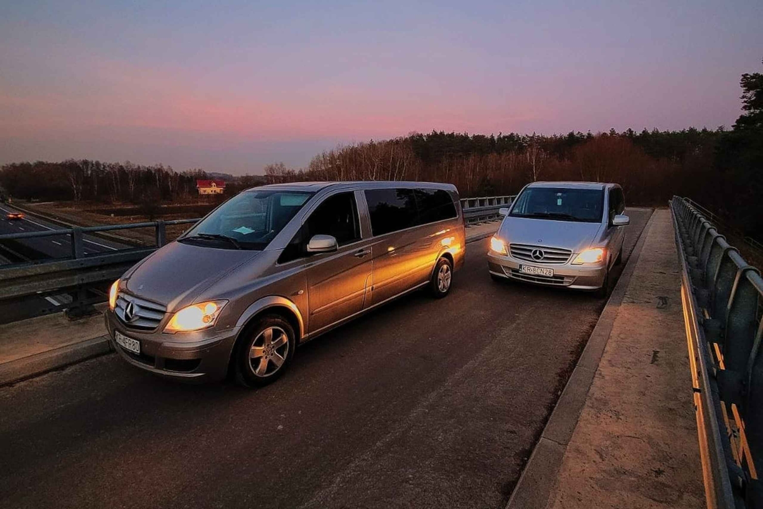 Fra Katowice eller Pyrzowice lufthavn: Transfer til Kraków