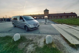 Vom Flughafen Kattowitz oder Pyrzowitz: Transfer nach Kraków