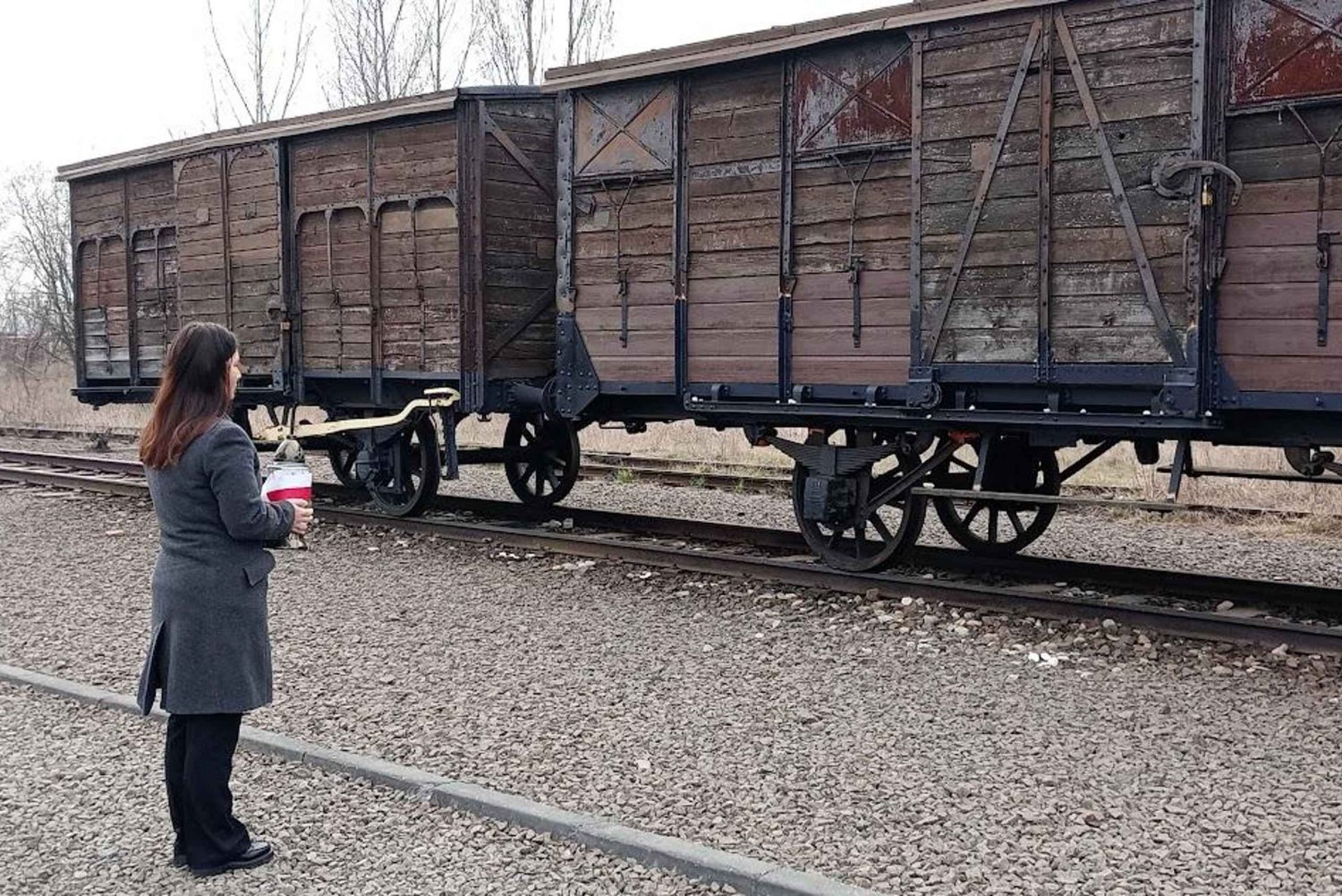 Desde Cracovia: Tour alternativo al complejo de Auschwitz