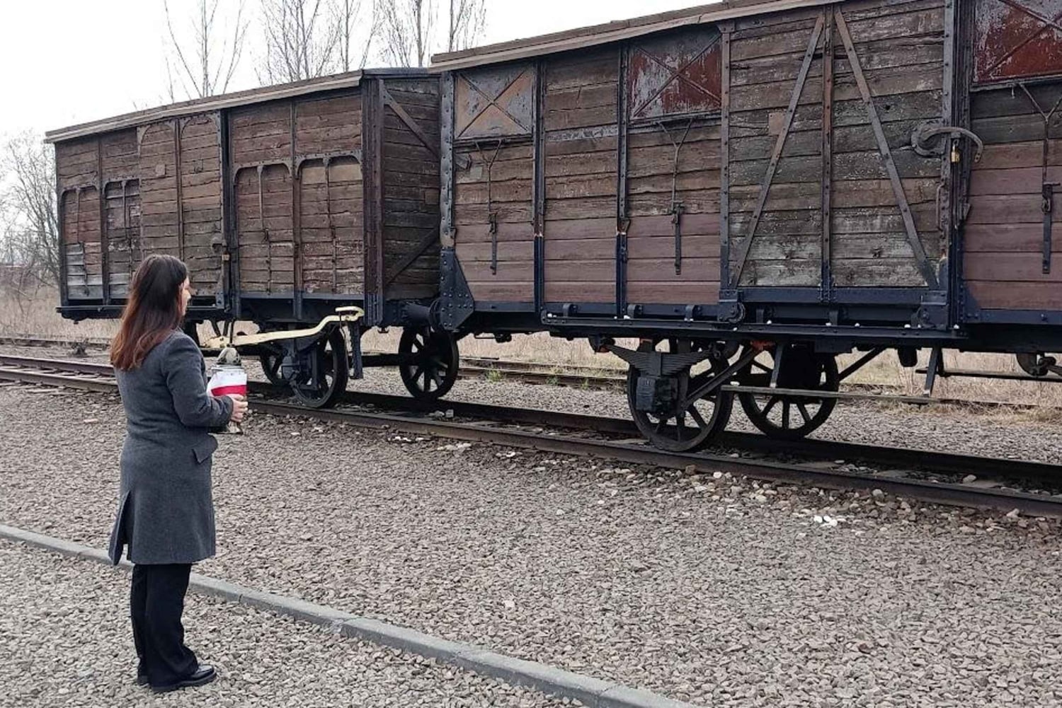Fra Krakow: Alternativ tur til Auschwitz-komplekset
