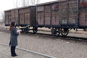 Fra Krakow: Alternativ tur til Auschwitz-komplekset