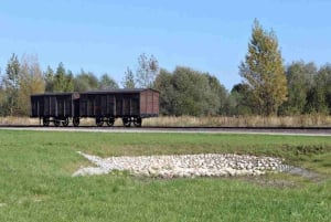 Fra Krakow: Alternativ tur til Auschwitz-komplekset