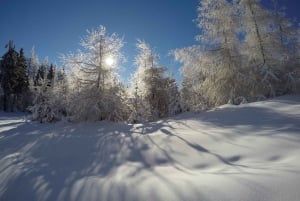 De Cracóvia: experiência de esqui de 3 horas adequada para iniciantes