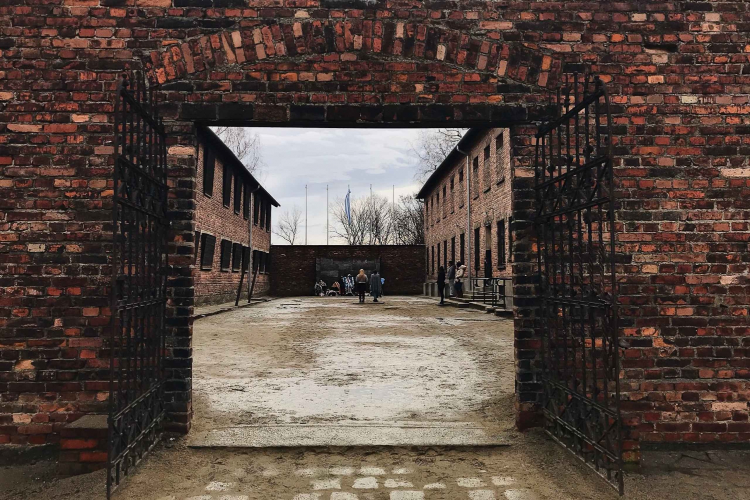 From Krakow: Auschwitz and Birkenau Small-Group Day Trip