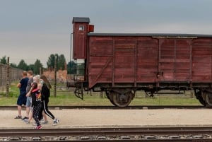 From Krakow: Auschwitz and Birkenau Small-Group Day Trip