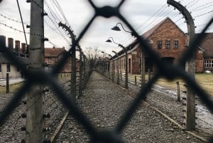 Au départ de Cracovie : Visite guidée d'Auschwitz et de Birkenau en petit groupe