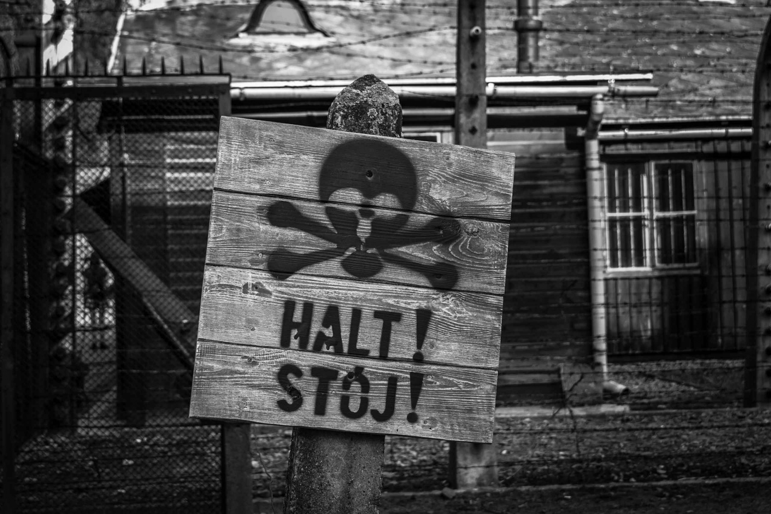 From Krakow: Auschwitz and Wieliczka Salt Mine Full-Day Tour