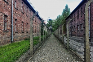 Z Krakowa: Auschwitz i wycieczka do kopalni soli w Wieliczce