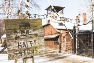 Från Krakow: Auschwitz och Wieliczka saltgruva dagsutflykt