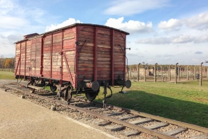 Depuis Cracovie : Excursion d'une journée à Auschwitz et à la mine de sel de Wieliczka