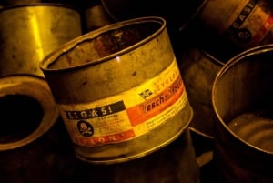 Vanuit Krakau: Auschwitz en Wieliczka zoutmijn tour