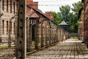 Fra Krakow: Rundvisning i Auschwitz og Wieliczka-saltminen