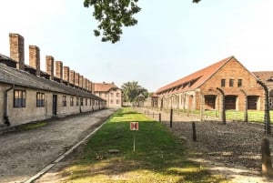 From Krakow: Auschwitz-Birkenau and Salt Mine Guided Tour