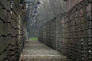 Desde Cracovia: Auschwitz Birkenau y Mina de Sal Visita Guiada