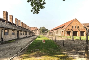 From Krakow: Auschwitz Birkenau and Salt Mine Guided Tour