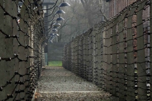From Krakow: Auschwitz Birkenau and Salt Mine Guided Tour