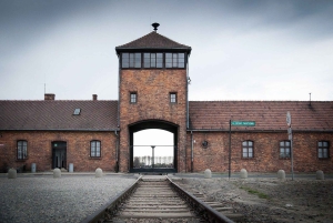 From Krakow: Auschwitz Birkenau and Salt Mine Guided Tour