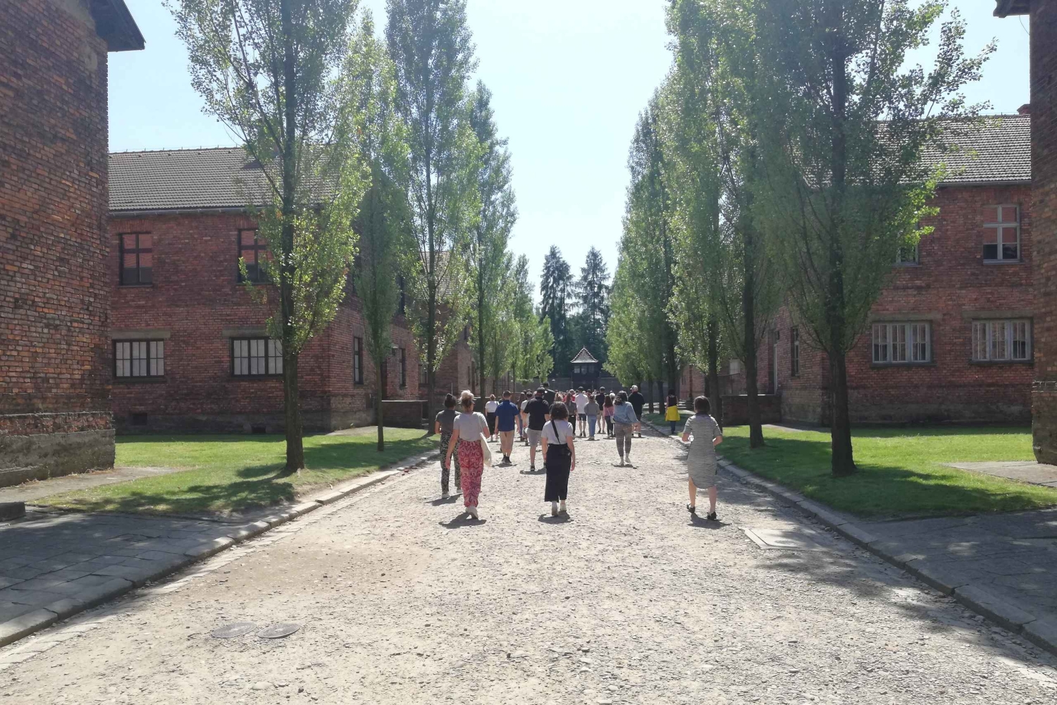 Von Krakau aus: Auschwitz-Birkenau und selbstgeführte Tagestour