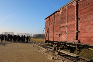 Von Krakau aus: Auschwitz-Birkenau und selbstgeführte Tagestour