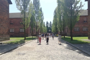 Von Krakau aus: Auschwitz-Birkenau und selbstgeführte Tagestour