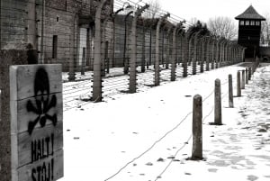 From Krakow: Auschwitz-Birkenau and Wieliczka Salt Mine Tour