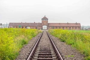From Krakow: Auschwitz-Birkenau and Wieliczka Salt Mine