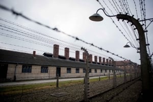 Von Krakau aus: Tour nach Auschwitz-Birkenau mit Abholung