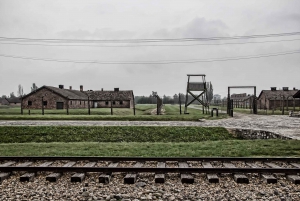 From Krakow: Auschwitz Birkenau Entrance & Transfer