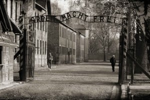 From Krakow: Auschwitz Birkenau Entrance & Transfer