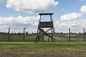 From Krakow: Auschwitz-Birkenau Full‑Day Guided Tour