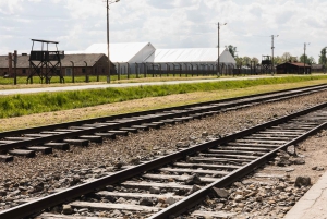 Fra Krakow: Guidet heldagstur til Auschwitz-Birkenau