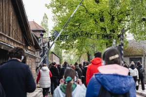 Fra Krakow: Guidet heldagstur til Auschwitz-Birkenau