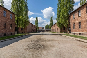 Fra Krakow: Guidet heldagstur til Auschwitz-Birkenau