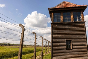 Fra Krakow: Guidet heldagstur til Auschwitz-Birkenau