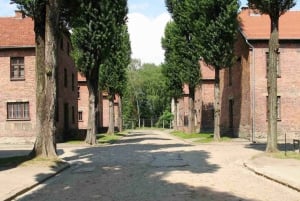 From Krakow: Auschwitz-Birkenau Full-Day Tour by Private Car