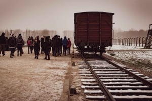 From Krakow: Auschwitz-Birkenau Full-Day Tour by Private Car