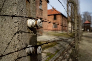 Fra Krakow: Auschwitz-Birkenau heldagstur