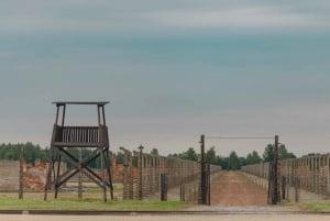 From Krakow: Auschwitz & Birkenau Fully Guided Tour & Pickup