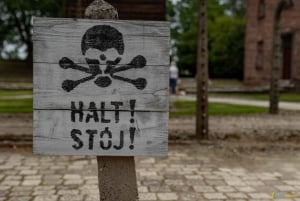 Fra Krakow: Auschwitz & Birkenau Fuldt guidet tur og afhentning