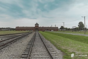 From Krakow: Auschwitz-Birkenau Guided Tour Guaranteed Time