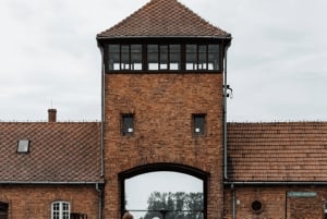 From Krakow: Auschwitz-Birkenau Guided Tour Guaranteed Time