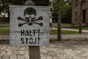 From Krakow: Auschwitz-Birkenau Guided Tour Guaranteed Time